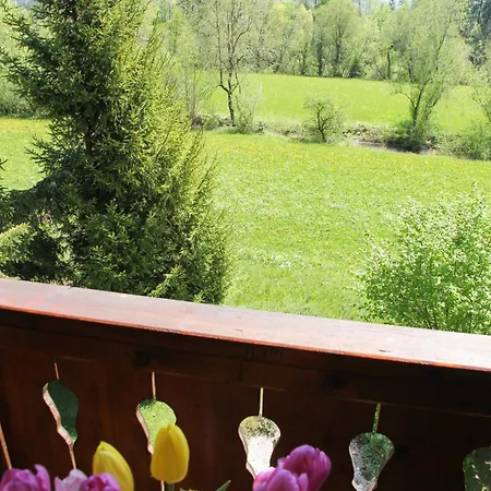 席尔瓦努斯别墅公寓 公寓 *