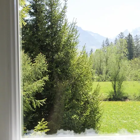 席尔瓦努斯别墅公寓 公寓 *