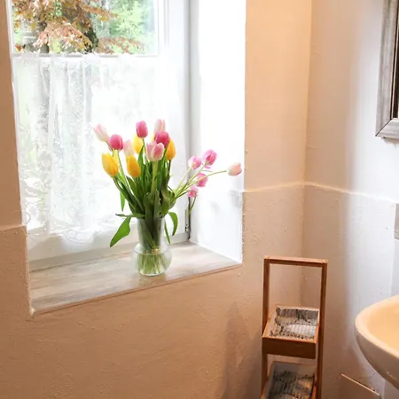 席尔瓦努斯别墅公寓 公寓 埃本湖