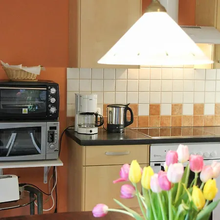 席尔瓦努斯别墅公寓 公寓 *