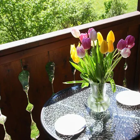 公寓 席尔瓦努斯别墅公寓 *