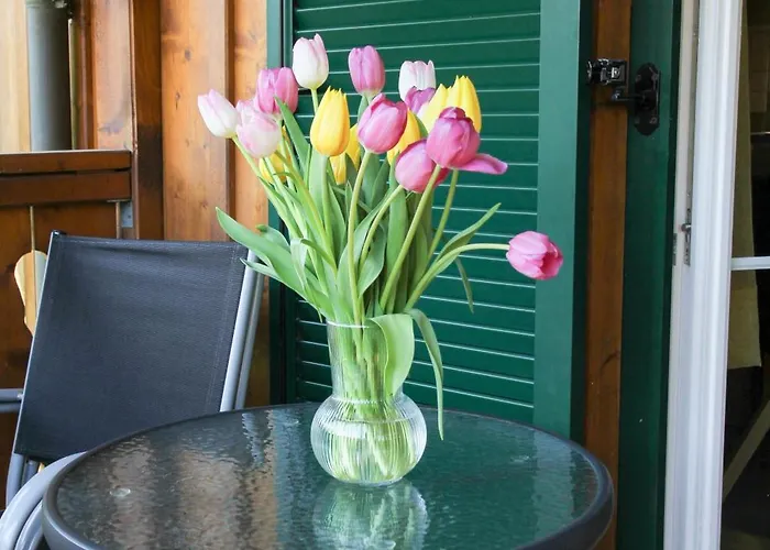 Silvanus Διαμέρισμα