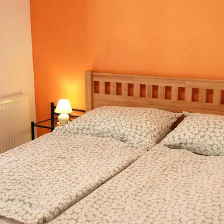 Apartament Silvanus *