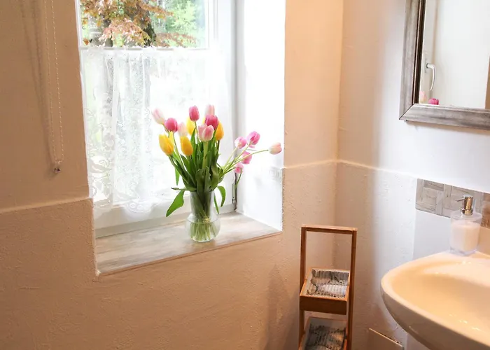 Silvanus דירה אבנסי